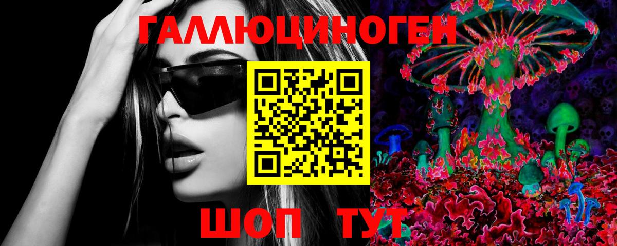Галлюциногенные грибы прущие грибы  Псилоцибиновые грибы GOLDEN TEACHER  Вход с VPN  хочу наркоту  Махачкала 