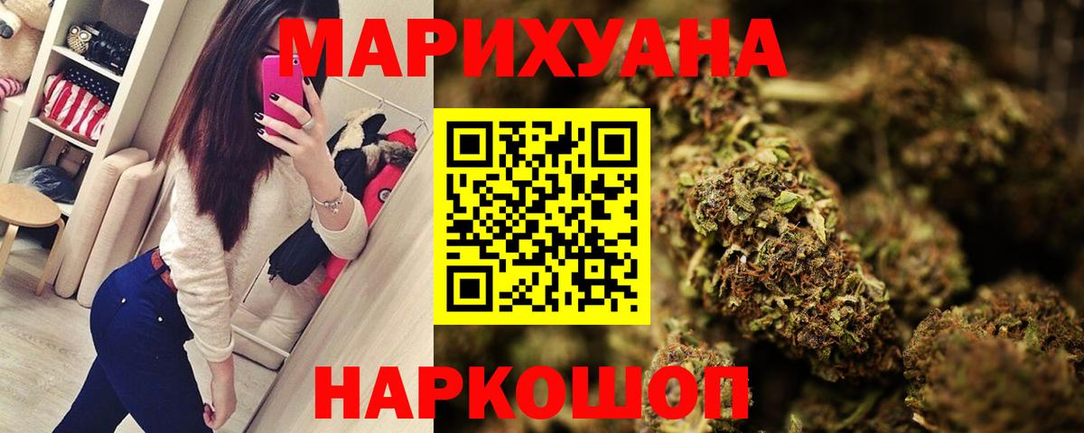 МАРИХУАНА план  Конопля планчик  Махачкала  Каннабис сатива  Вход с VPN 